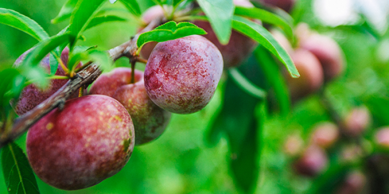 发改委：2017年全面实施居住证制度